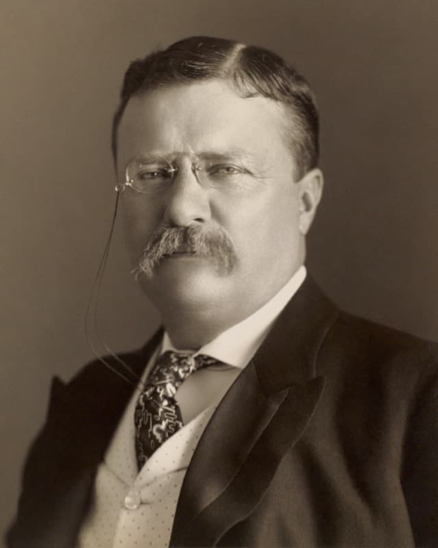 Portrait of Theodore Roosevelt